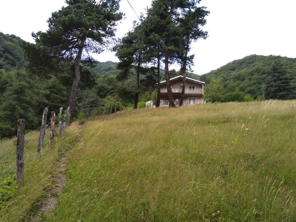 Guesthouse Gama In Khevsureti Roshka Exterior photo